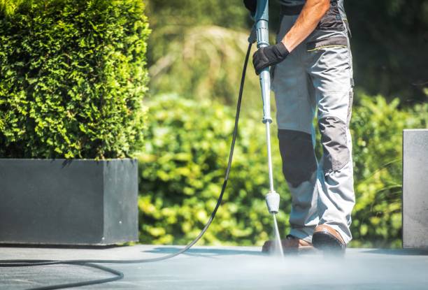 Best Roof Cleaning and Mildew Removal in Whitewater, WI