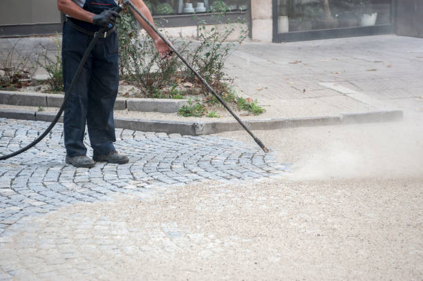 Best Gutter Cleaning and Brightening in Whitewater, WI